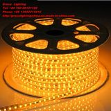 Decoration LED Light High Quality 5050 LED Strip (G-SMD-5050-220V-45)