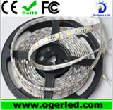 Quality Waterproof 5050 LED Strip Light