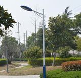 Professional Manufacture LED Street Light