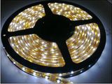 Kiwi LED Lighting Co., Ltd.