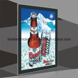 Single & Double Magnetic LED Light Box