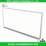 SMD LED Ceiling LED Panel Light (BP306020W)