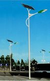 Wbr073 30W Single Lamp Solar LED Street Light