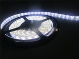 LED Strip Light IP33/IP64/IP65/IP68