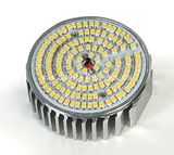 5-12W LED Down Light (B2009)