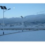 Energy-Saving 80W Solar Street Light for Road Lighting