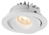 6W IP54 Tiltable LED Recessed Down Light (R3B0130)