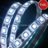 LED Christmas Light - Strip Light