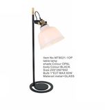 Modern Reading and Studing Metal Table Lamp (MT8021-1OP)