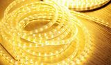 6m 60PCS LED Light LED Strip Christmas Light