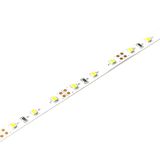 Hot Sale SMD2835 60LEDs/M LED Strip Light