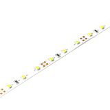 Hot Sale SMD2835 60LEDs/M LED Strip Light