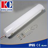 IP65 48W 1500mm LED Outdoor Light