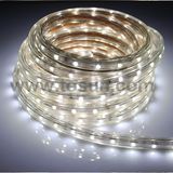 SMD 3528 5050 12V 24V LED Strip Light