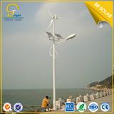 40W LED Solar Hybrid Ledt Light