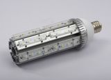 48W Corn Light/ Street Light (HY-LYM-48W-021)