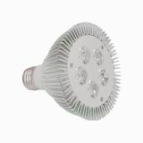 LED Spotlight PAR30 5W