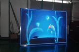 P5 Indoor LED Display/LED Display