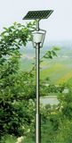 Solar LED Garden Light