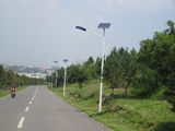 6m IP65 LED Lights Monocrystal Solar Lighting for Street