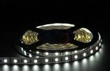 LED Strip5050 White with Color 50m Strip LED Light