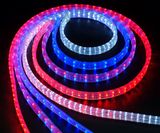 LED Strip Light