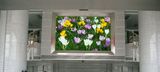 P4indoor Full-Color LED Display/Indoor Full-Color LED Display