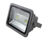 100W IP65 Outdoor LED Flood Light