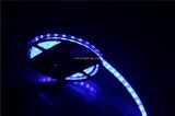 12V 5050 SMD LED Strip Light