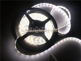 SMD3528 60LEDs Flexible LED Strip Light