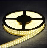 UL Epistar 5050 LED Strip Waterproof 12V, LED Light