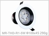 High Brightness LED Ceiling Light-5W