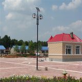 Aluminum Pole 6m 30W LED Street Light Solar