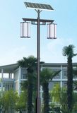 Best 30W Solar LED Garden Light with 3year Warranty (YCLG30)