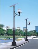 High Efficiency LED Solar Light (SYT-3206)