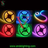 High Lumens 12V LED Rope Strip christmas Decoration Light