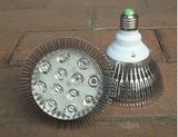 LED Spotlight (TP-S01-012W02)