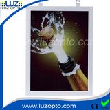 Hanging Double Sided LED Light Box