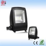 Outdoor High Lumen LED Outdoor Flood Light 100W 110V