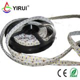 3528 240LEDs/Meter Two Line LED Strip Light