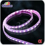 SMD5050 LED Flex Strip Light