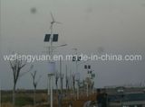 Wind Solar LED Street Light
