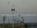 Wind Solar LED Street Light