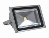 LED Flood Light