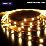 Soft LED Strip Light (5050 48LED/M)