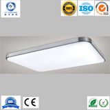 Real 36W LED Panel Light