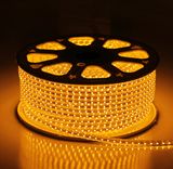 96LEDs/M 4 in 1 SMD5050 RGBW LED Strip Lights