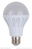 LED Bulb Light 13