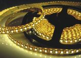 Water Proof LED Strip Light (DD-3528SF60G-WP2)