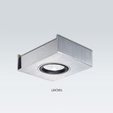 LED Down Light (LDC501)